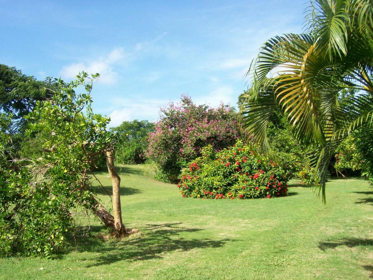 Ocean View Montego Bay Apartment Luaran gambar